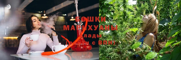 ГАЛЛЮЦИНОГЕННЫЕ ГРИБЫ Армянск