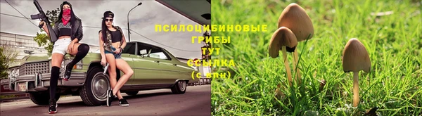 МДПВ Балабаново