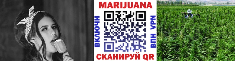 МАРИХУАНА ГИДРОПОН  наркошоп  Подпорожье 
